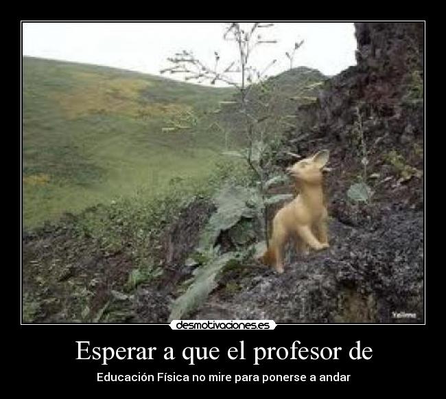 Esperar a que el profesor de - Educación Física no mire para ponerse a andar