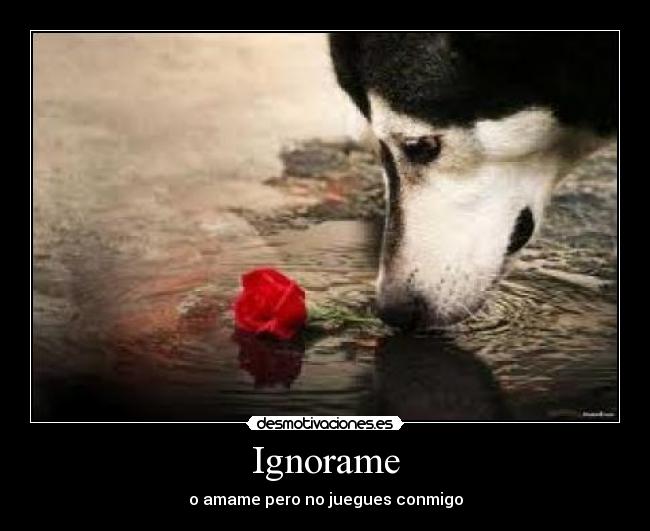 Ignorame - o amame pero no juegues conmigo