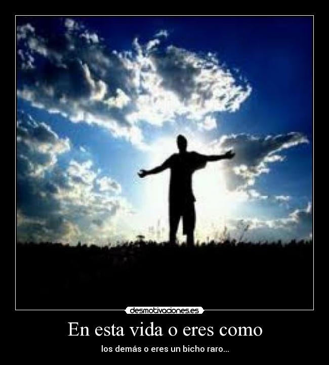 En esta vida o eres como - 