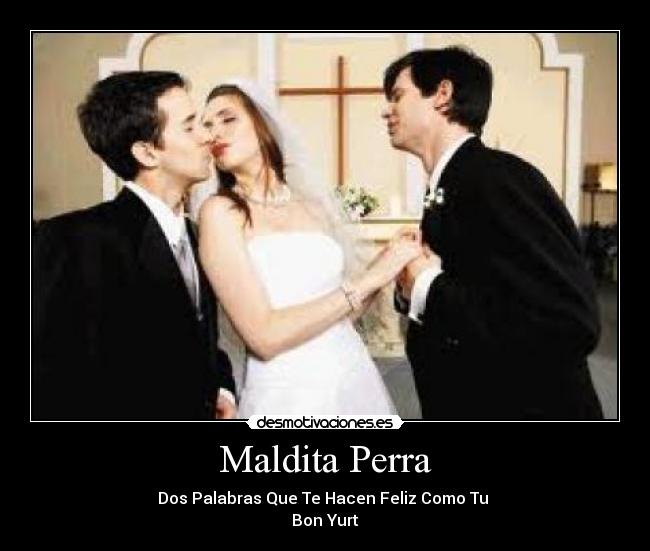 Maldita Perra - Dos Palabras Que Te Hacen Feliz Como Tu
Bon Yurt