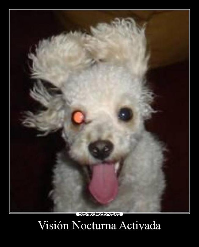 Visión Nocturna Activada - 