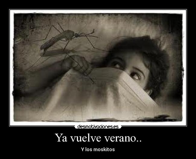 Ya vuelve verano.. - Y los moskitos