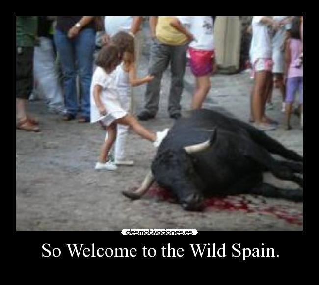 So Welcome to the Wild Spain. -