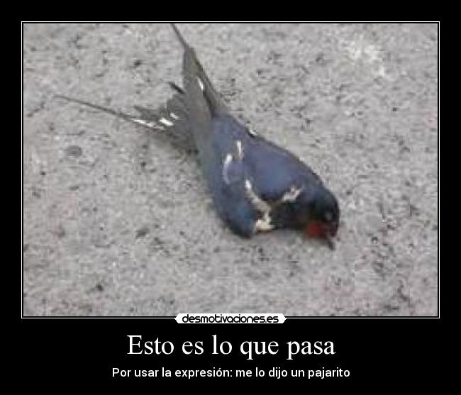 Esto es lo que pasa -