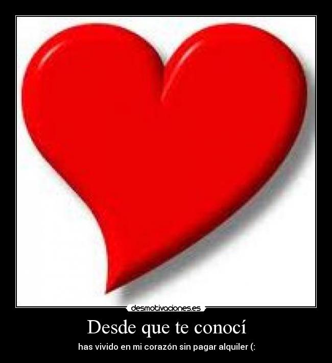 Desde que te conocí -