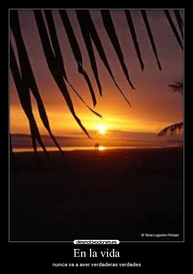 En la vida - 