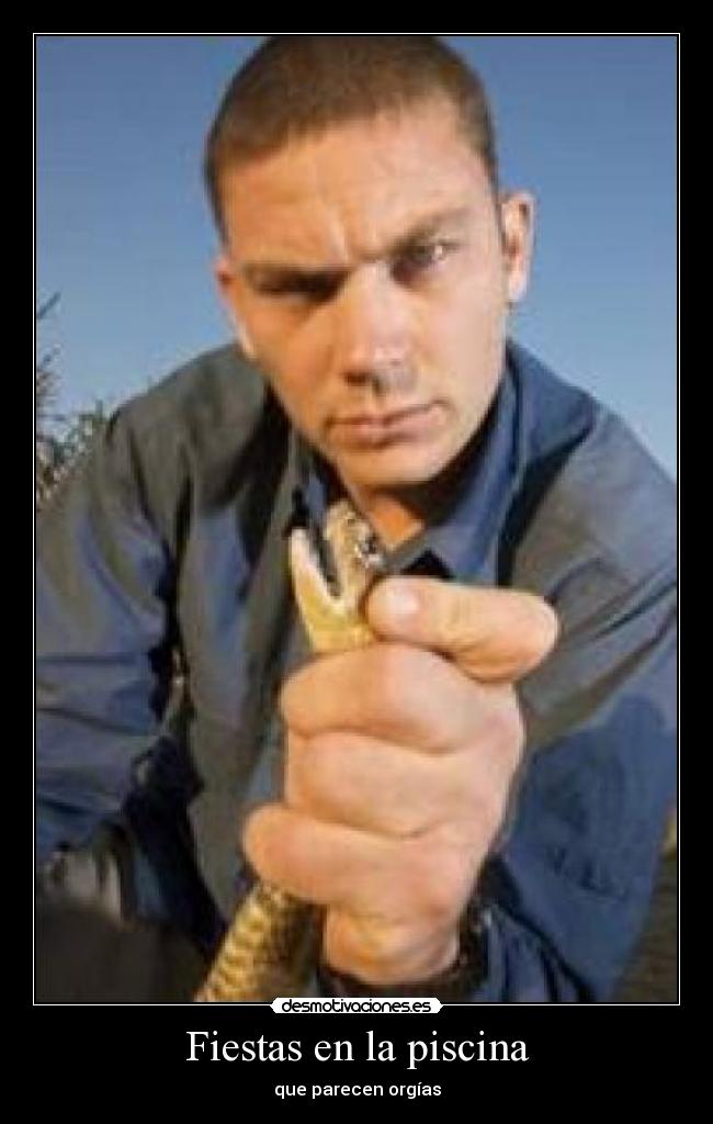 Fiestas en la piscina - que parecen orgías