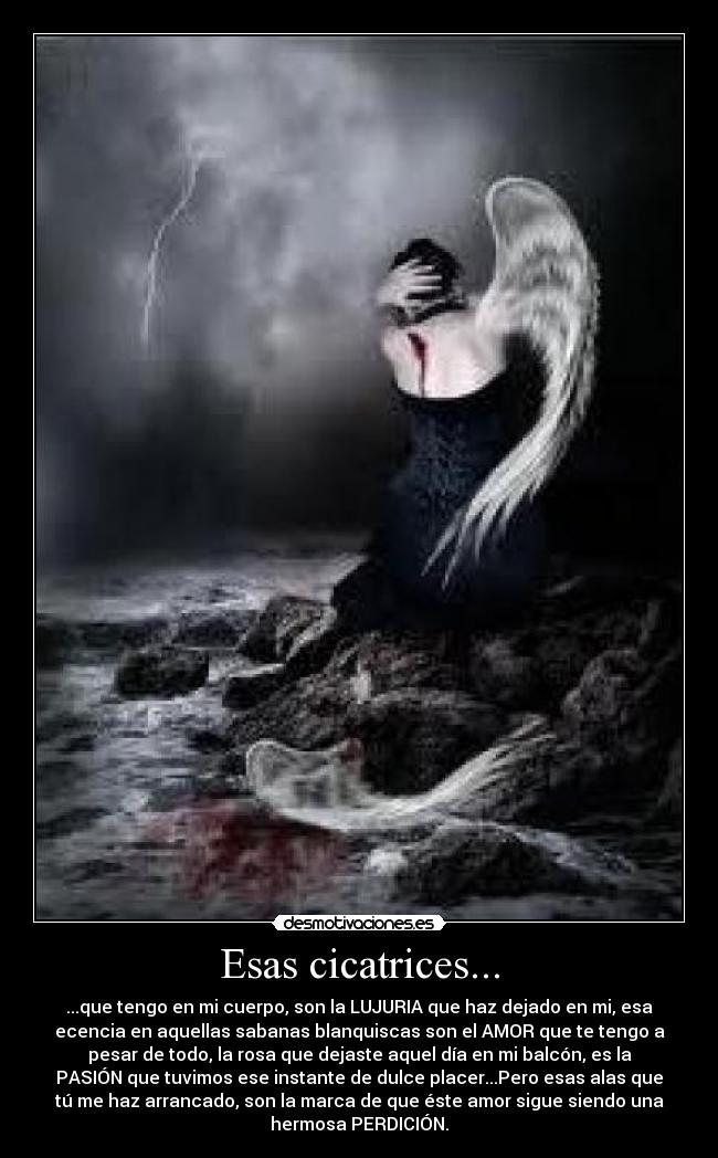 carteles alas rotas desmotivaciones