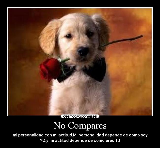 carteles silver99 desmotivaciones