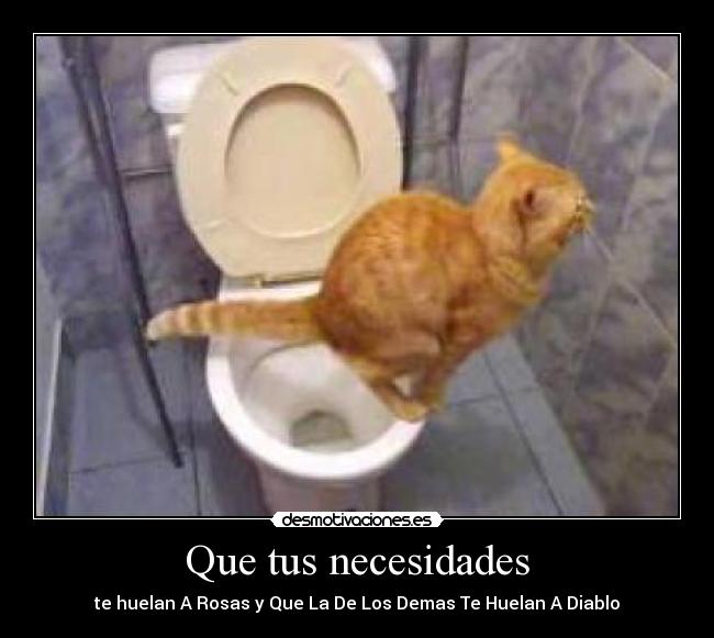 carteles desmotivaciones