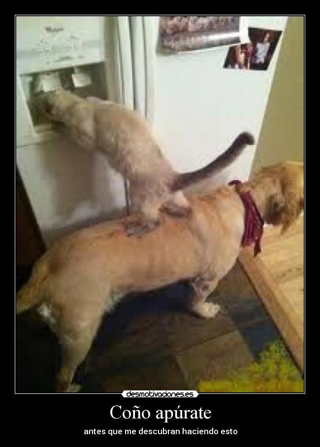Coño apúrate - antes que me descubran haciendo esto