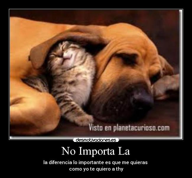 No Importa La -