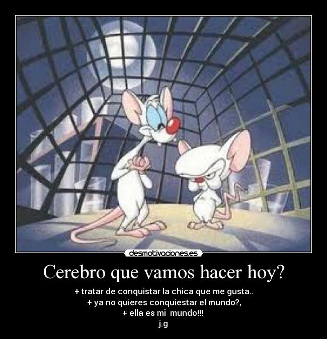 Cerebro que vamos hacer hoy? - + tratar de conquistar la chica que me gusta..
+ ya no quieres conquiestar el mundo?,
+ ella es mi mundo!!!
j.g