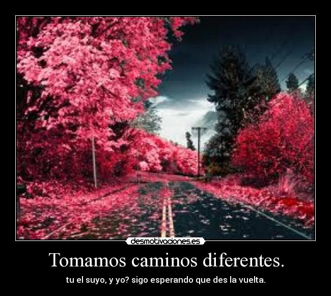 Tomamos caminos diferentes. - 