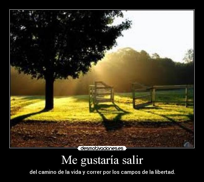 carteles salir camino vida correr campos libertad desmotivaciones