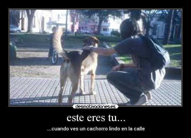 este eres tu... - 