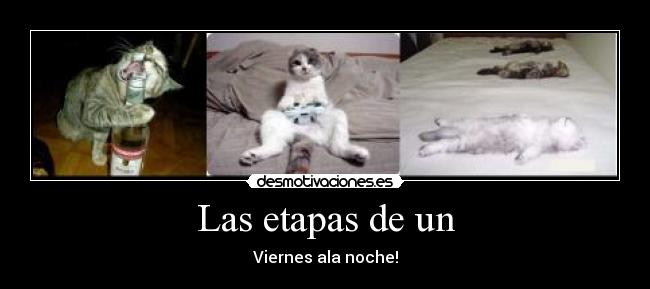 carteles gatos xbox alcohol resaca desmotivaciones