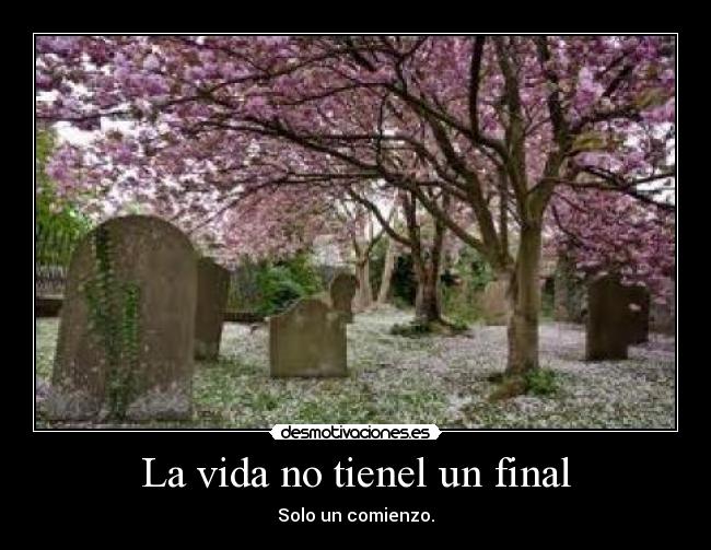 carteles vida tumba vida final desmotivaciones