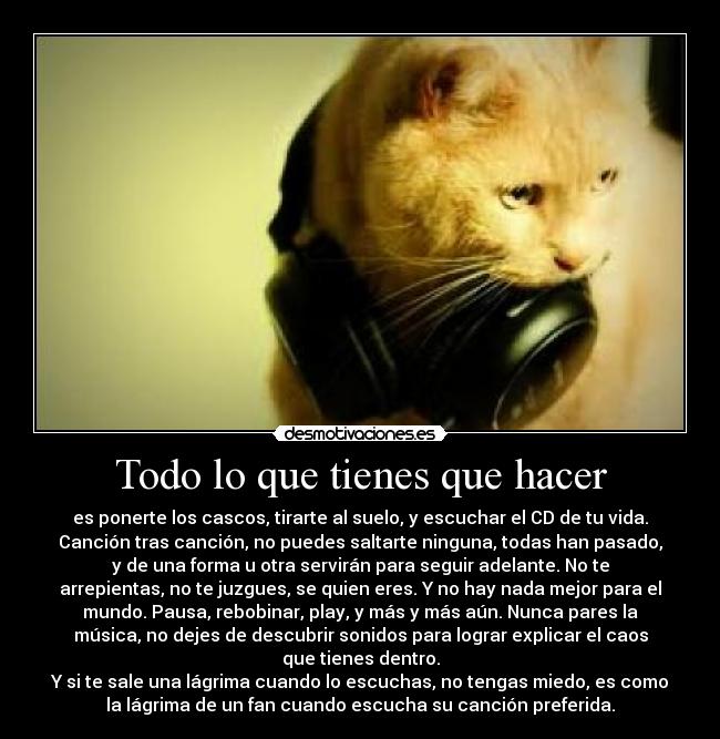 Todo lo que tienes que hacer - 