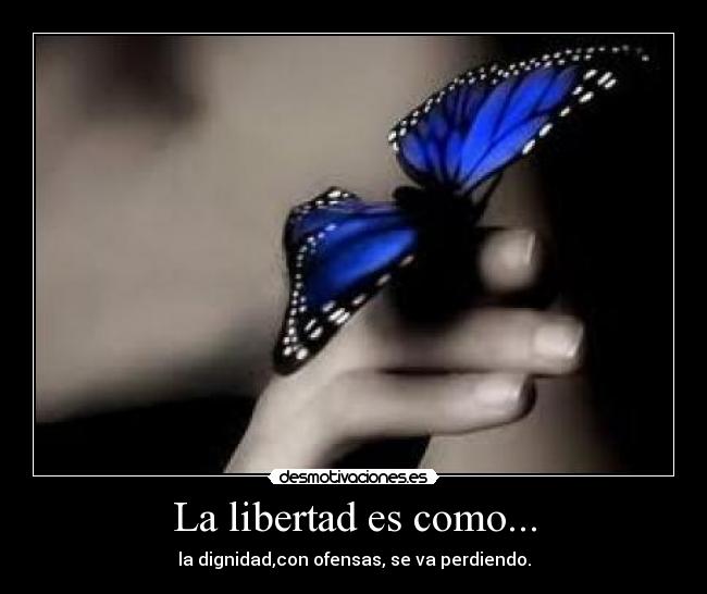 La libertad es como... - la dignidad,con ofensas, se va perdiendo.
