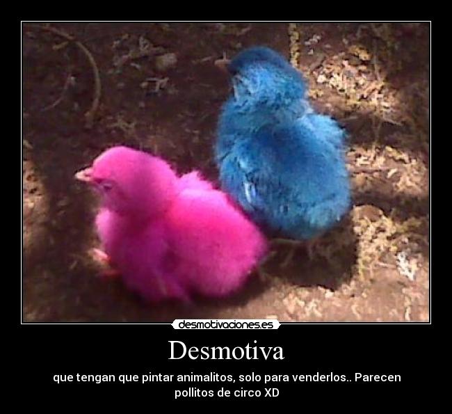 Desmotiva - que tengan que pintar animalitos, solo para venderlos.. Parecen pollitos de circo XD
