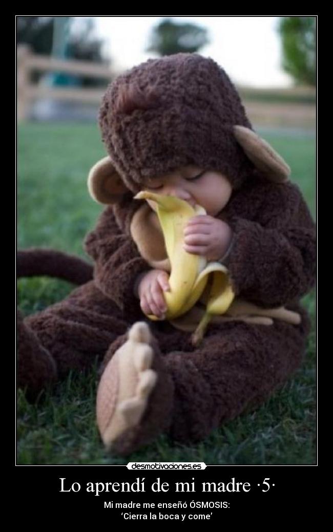 Lo aprendí de mi madre ·5· - 