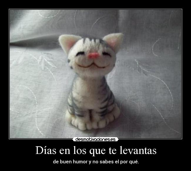 Días en los que te levantas -