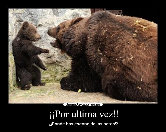 ¡¡Por ultima vez!! -