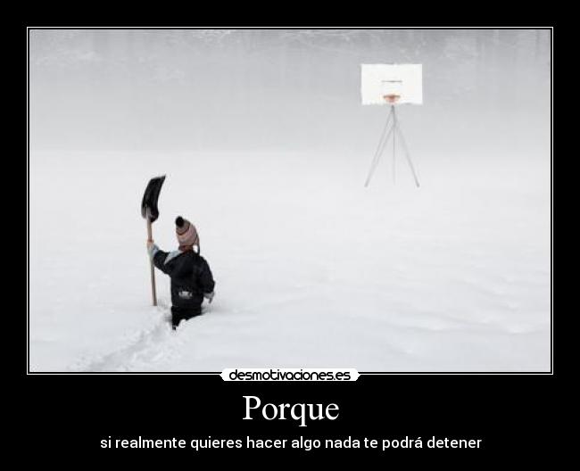 carteles porque desmotivaciones