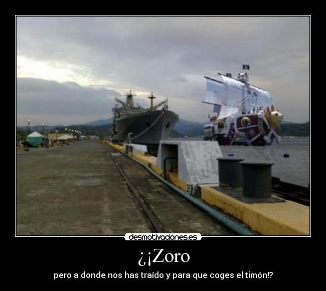 carteles zoro desmotivaciones