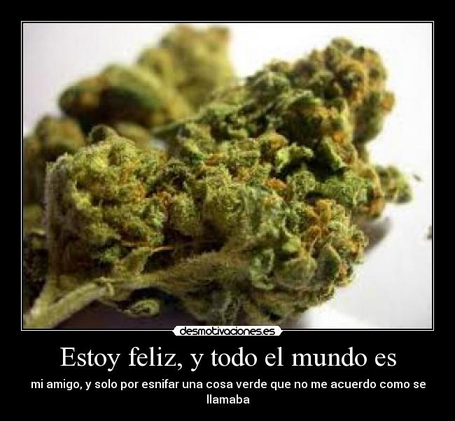 Estoy feliz, y todo el mundo es - mi amigo, y solo por esnifar una cosa verde que no me acuerdo como se llamaba