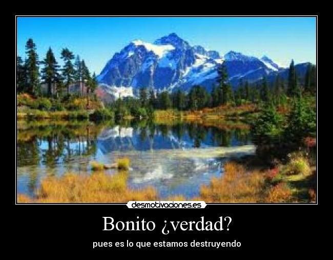 Bonito ¿verdad? - pues es lo que estamos destruyendo