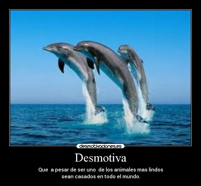 carteles desmotiva desmotivaciones