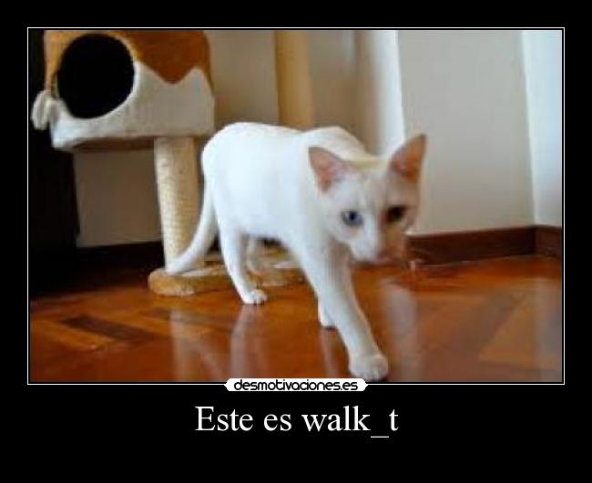 Este es walk_t - 