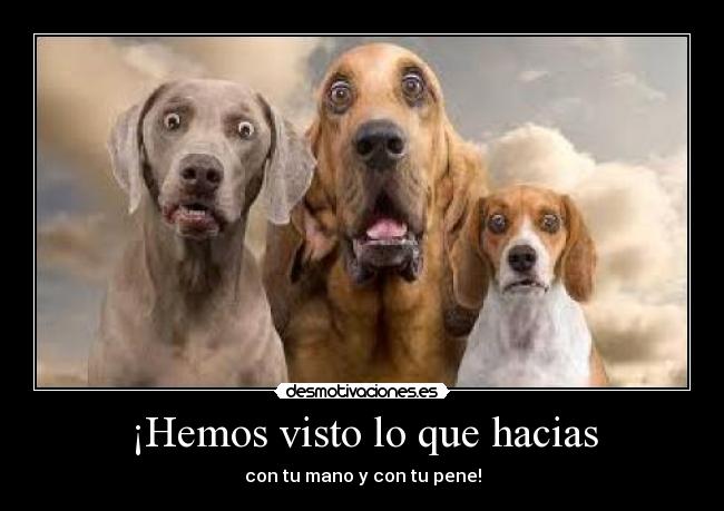 ¡Hemos visto lo que hacias - con tu mano y con tu pene!