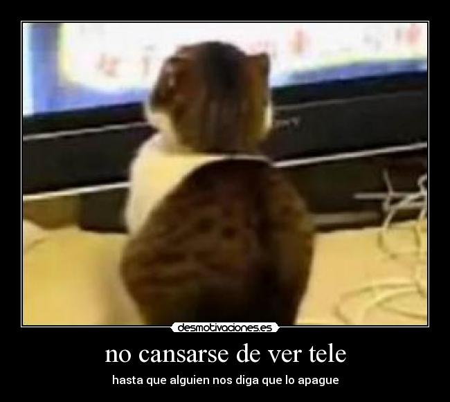 no cansarse de ver tele - hasta que alguien nos diga que lo apague
