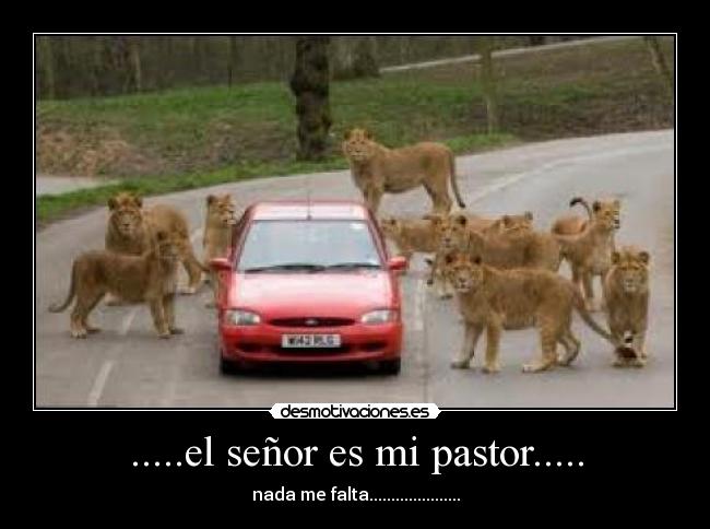 .....el señor es mi pastor..... -