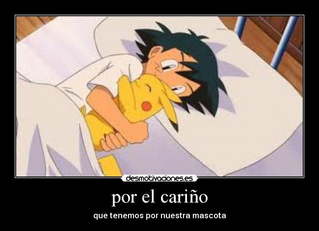 por el cariño - que tenemos por nuestra mascota