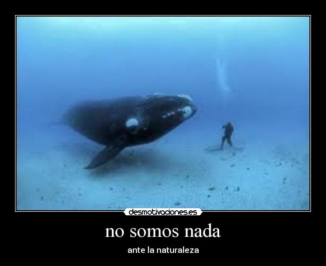 no somos nada - ante la naturaleza