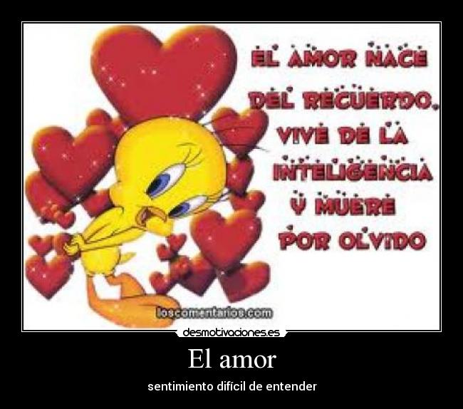 El amor -