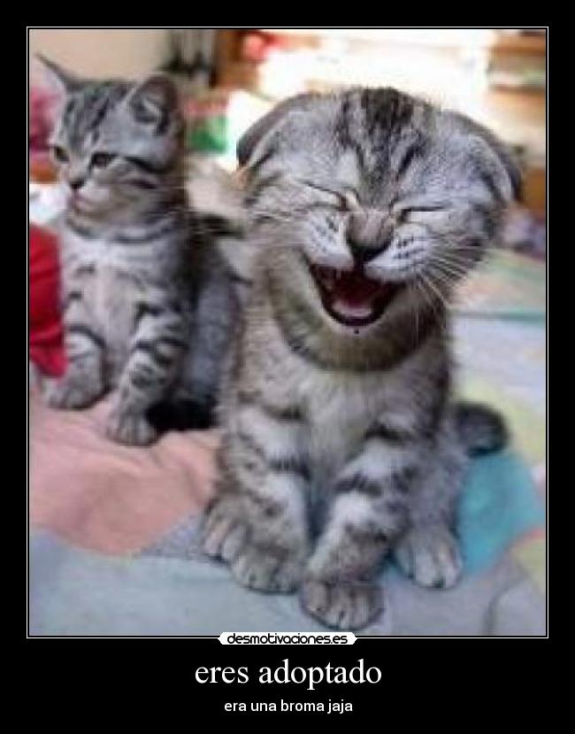 carteles lol desmotivaciones