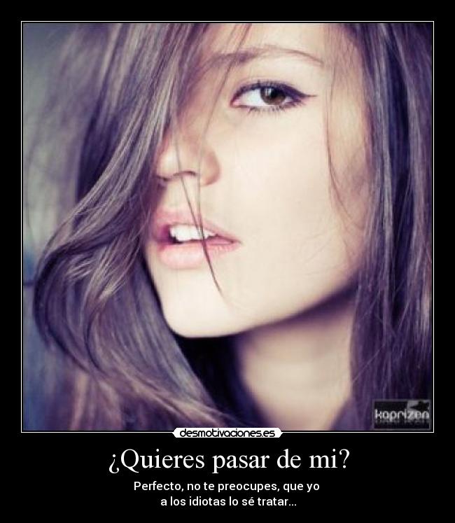 ¿Quieres pasar de mi? - Perfecto, no te preocupes, que yo 
a los idiotas lo sé tratar...