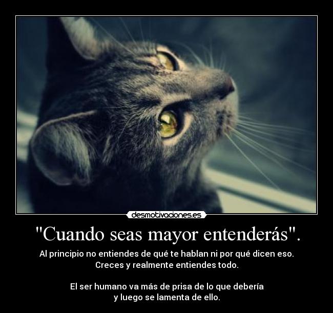 Cuando seas mayor entenderás. - Al principio no entiendes de qué te hablan ni por qué dicen eso.
Creces y realmente entiendes todo.
El ser humano va más de prisa de lo que debería
y luego se lamenta de ello.