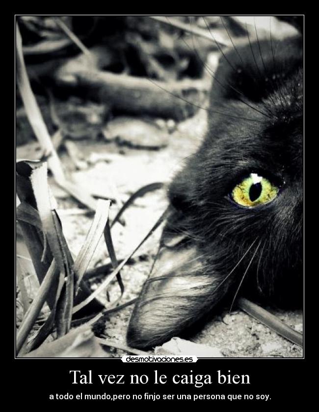 Tal vez no le caiga bien -