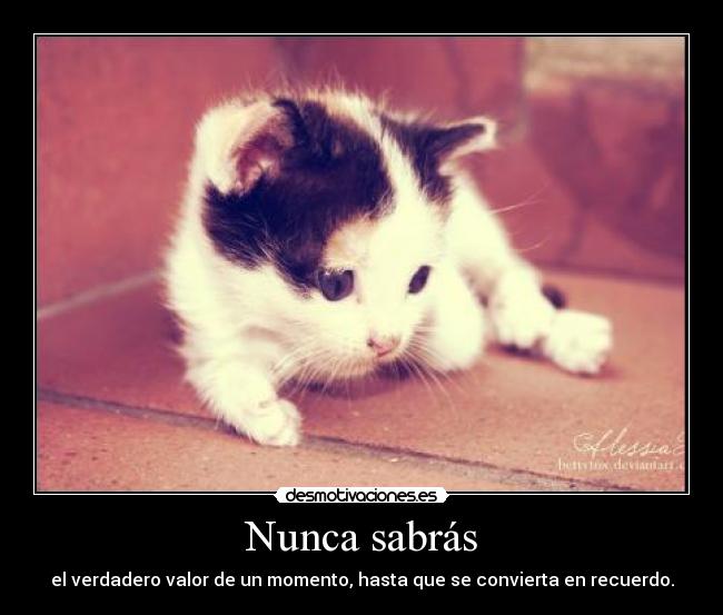 Nunca sabrás - el verdadero valor de un momento, hasta que se convierta en recuerdo.