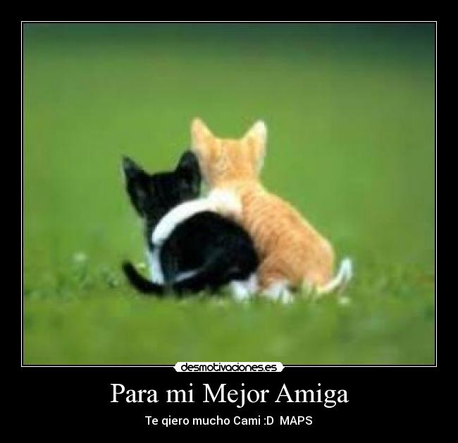 carteles cami rocio desmotivaciones