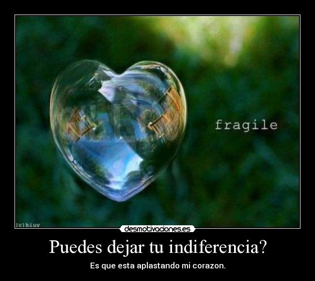 Puedes dejar tu indiferencia? - Es que esta aplastando mi corazon.