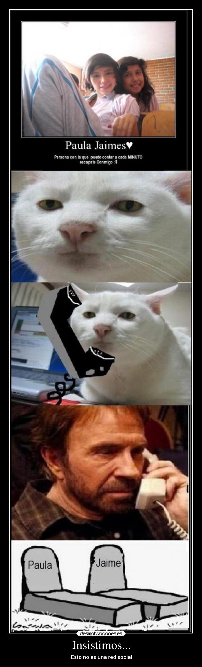 Insistimos... - Esto no es una red social