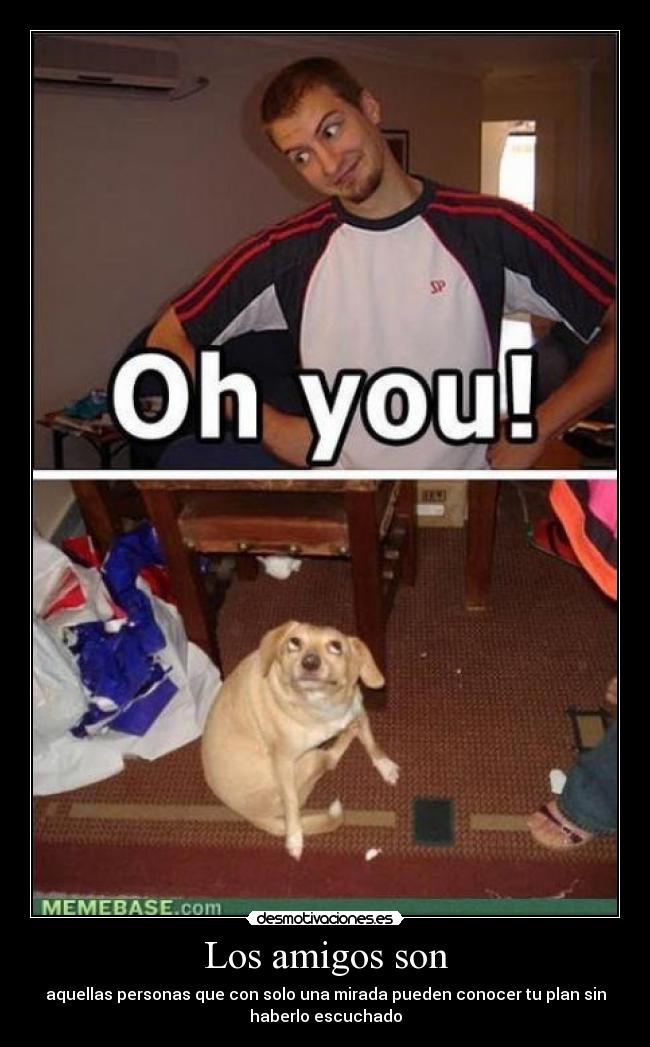 Los amigos son - 