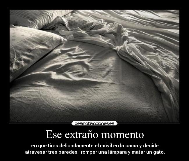 Ese extraño momento - en que tiras delicadamente el móvil en la cama y decide
atravesar tres paredes, romper una lámpara y matar un gato.